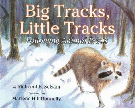 Big Tracks, Little Tracks: Following Animal