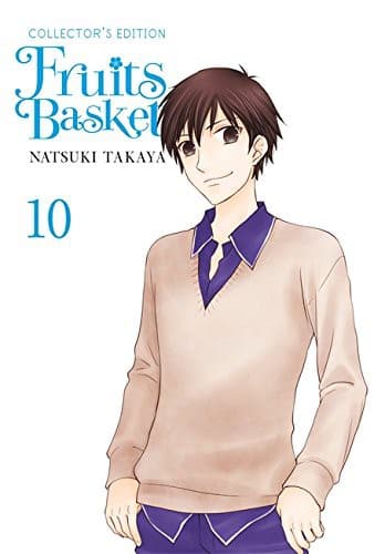 Fruits Basket Collector'S Edition Vol 10 (Yen