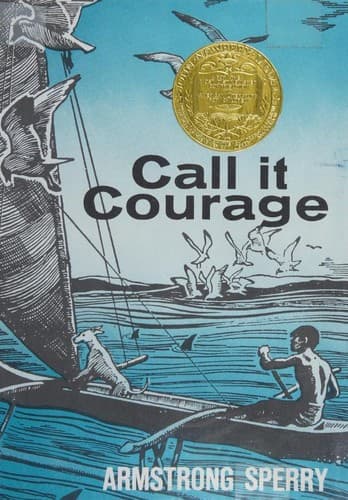 Call It Courage (Armstrong Sperry, Hardcover,