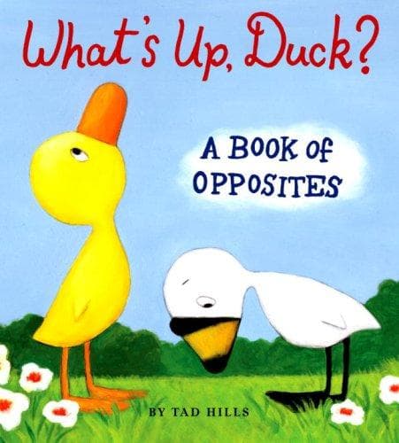 What's Up, Duck?: A Book of Opposites (Tad Hills,