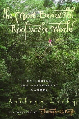 The Most Beautiful Roof in the World: Exploring