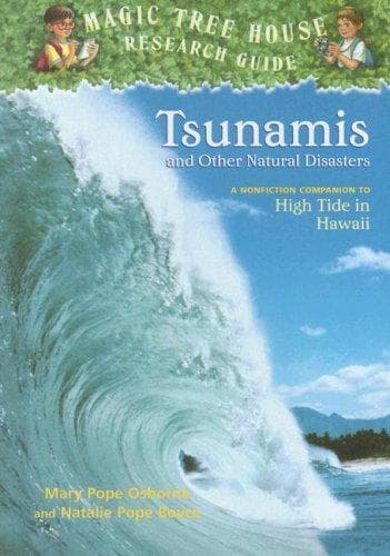 Tsunamis and Other Natural Disasters: A