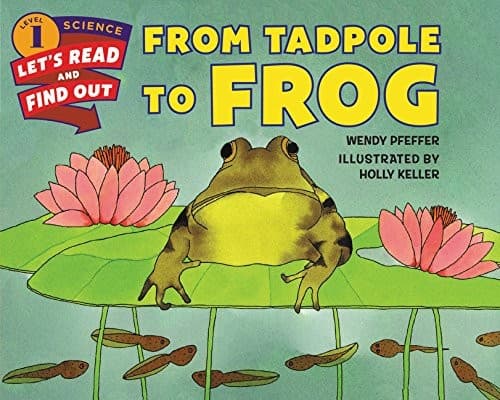 From Tadpole to Frog (Wendy Pfeffer, Paperback,